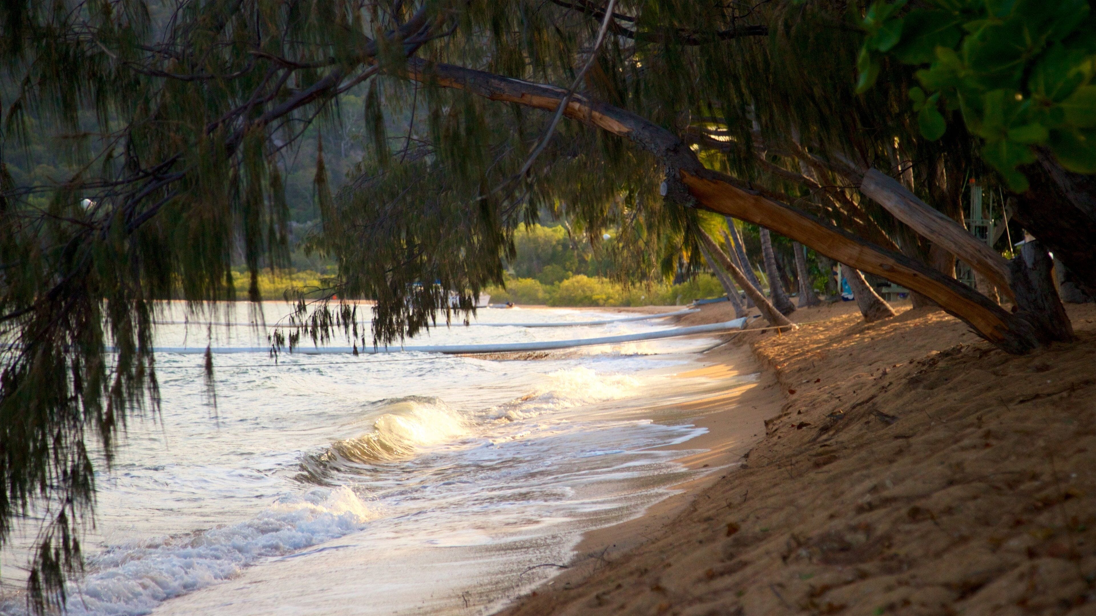 Magnetic Island featuring a sandy beach and general coastal views