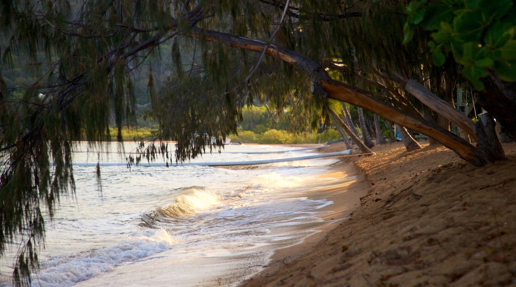 Magnetic Island featuring a sandy beach and general coastal views