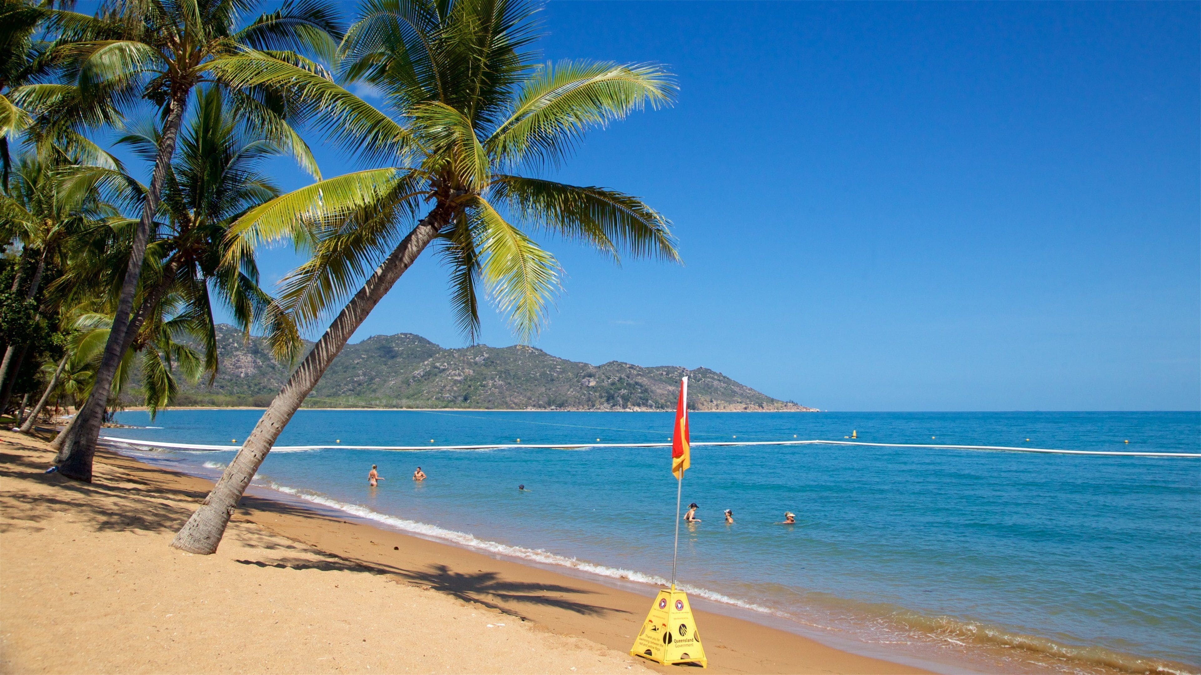A beach with palm trees, clear blue water, and a lifeguard flag.