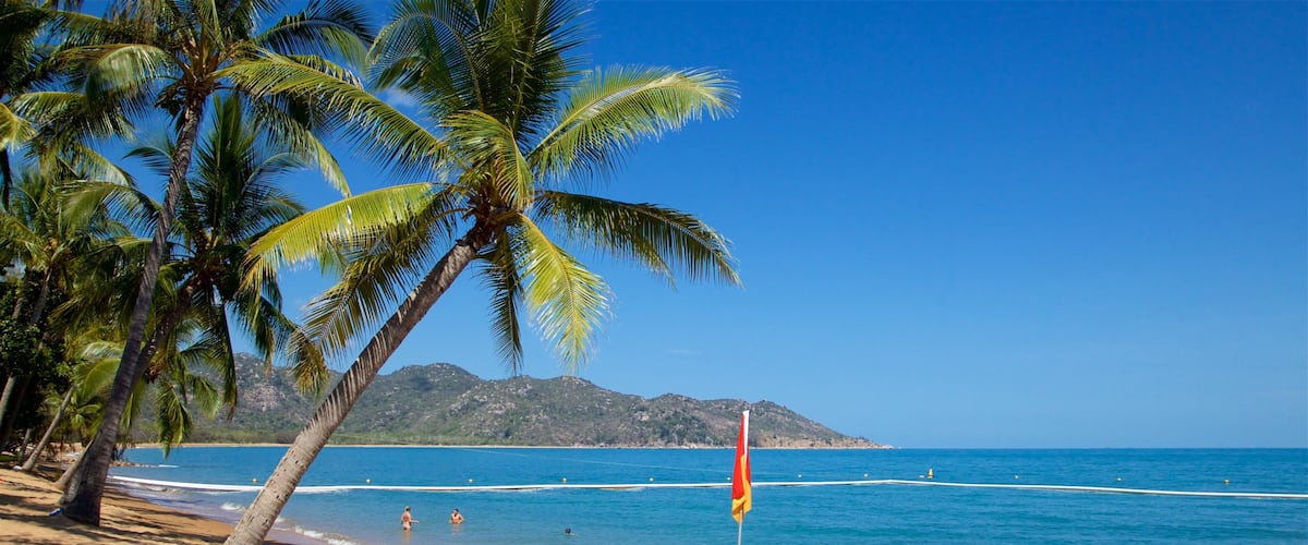 A beach with palm trees, clear blue water, and a lifeguard flag.