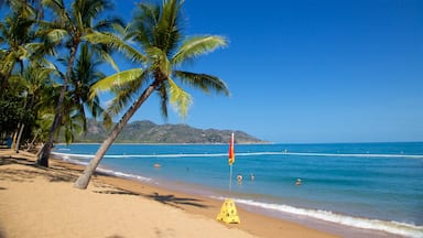 A beach with palm trees, clear blue water, and a lifeguard flag.