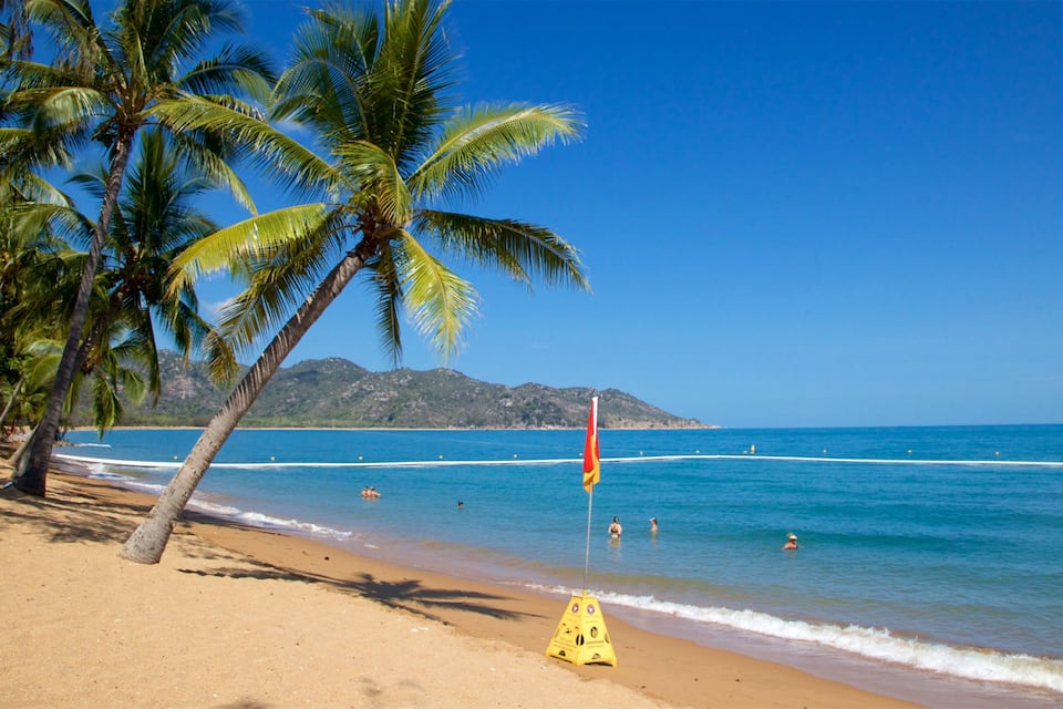 A beach with palm trees, clear blue water, and a lifeguard flag.