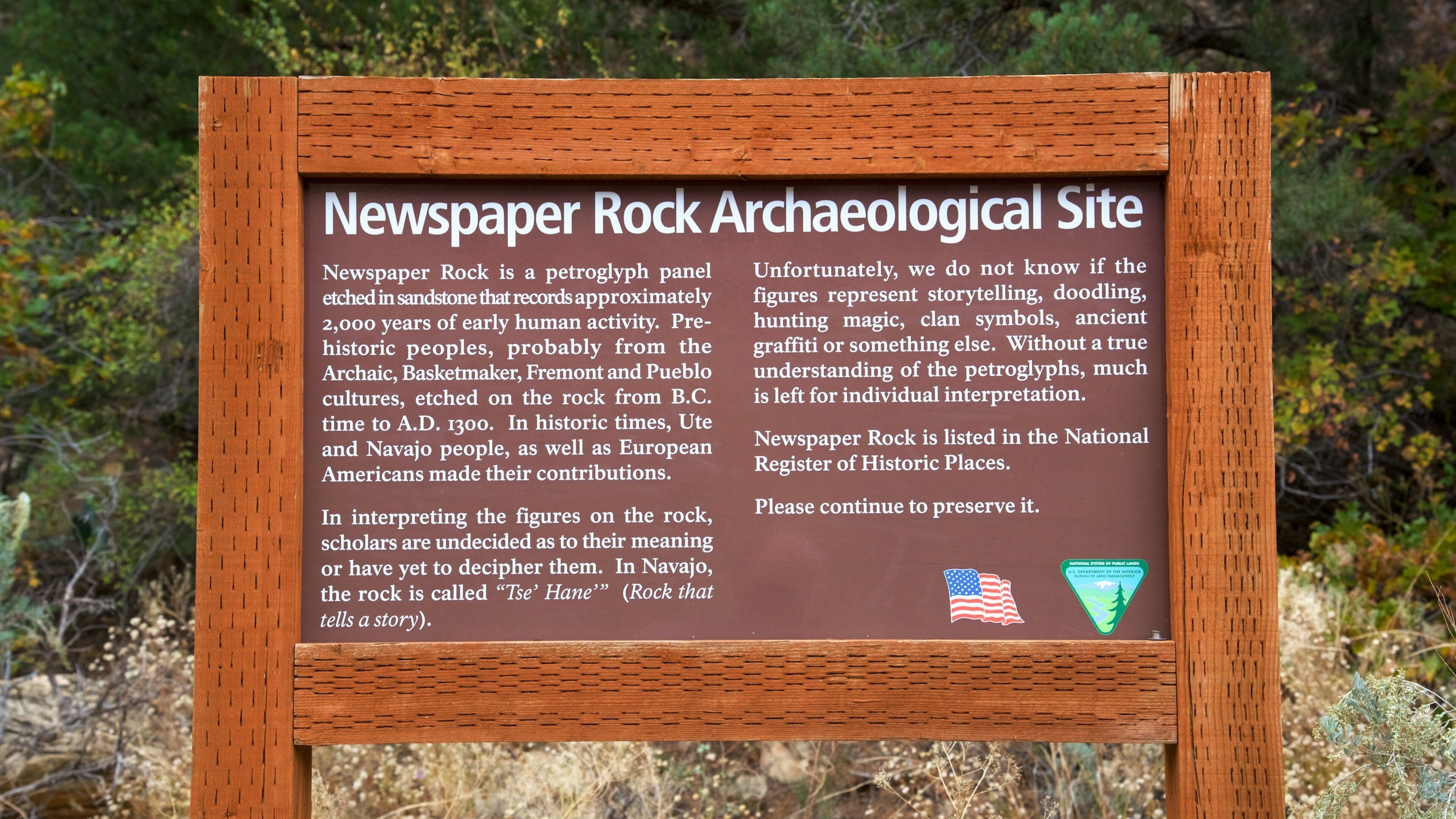 Newspaper Rock State Historical Monument