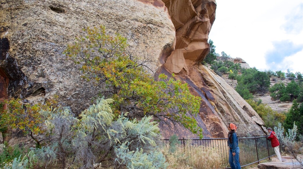 Newspaper Rock State Historical Monument