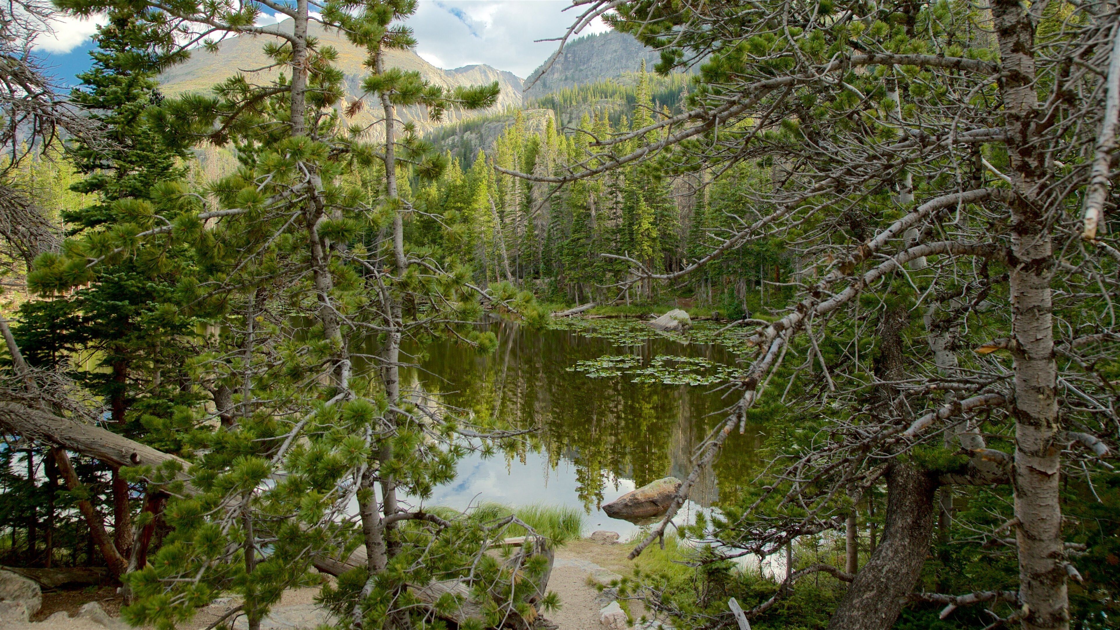 Nymph Lake featuring a lake or waterhole
