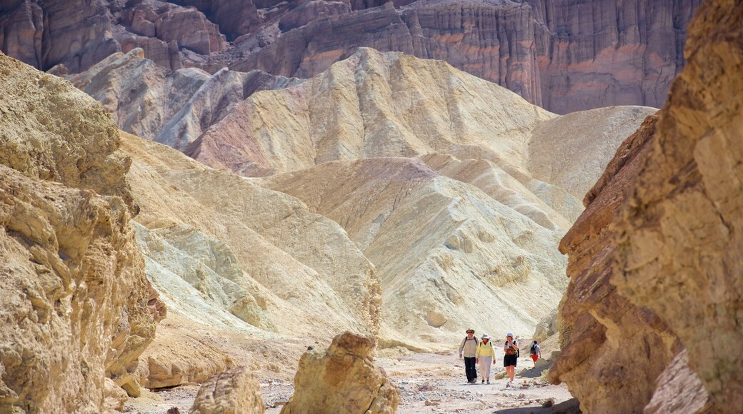 デス バレー どの含み 砂漠の眺め と 渓谷あるいは峡谷 及び 少数の人々