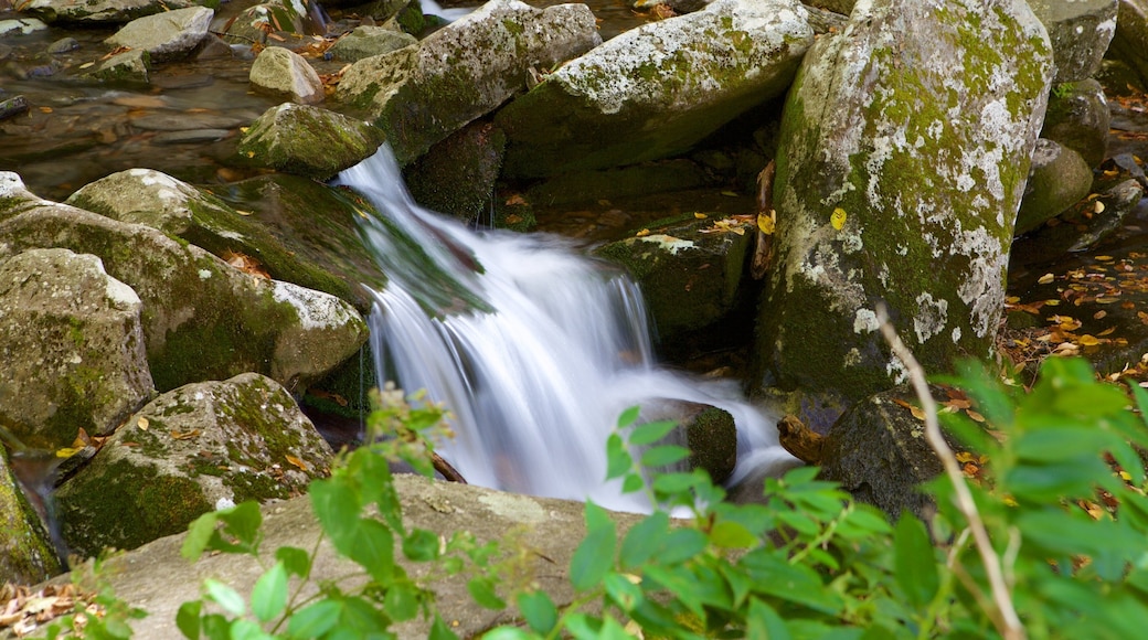 Great Smoky Mountains National Park showing a river or creek
