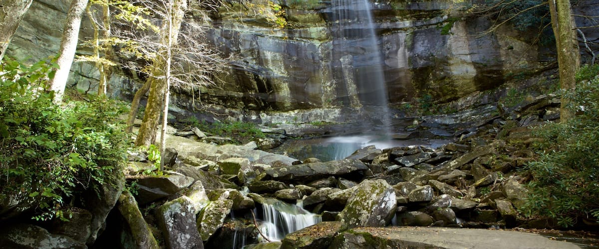 Rainbow Falls featuring forest scenes and a river or creek