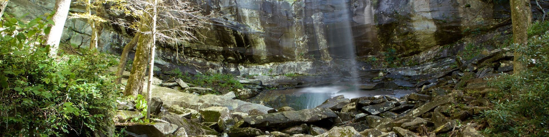 Rainbow Falls featuring forest scenes and a river or creek
