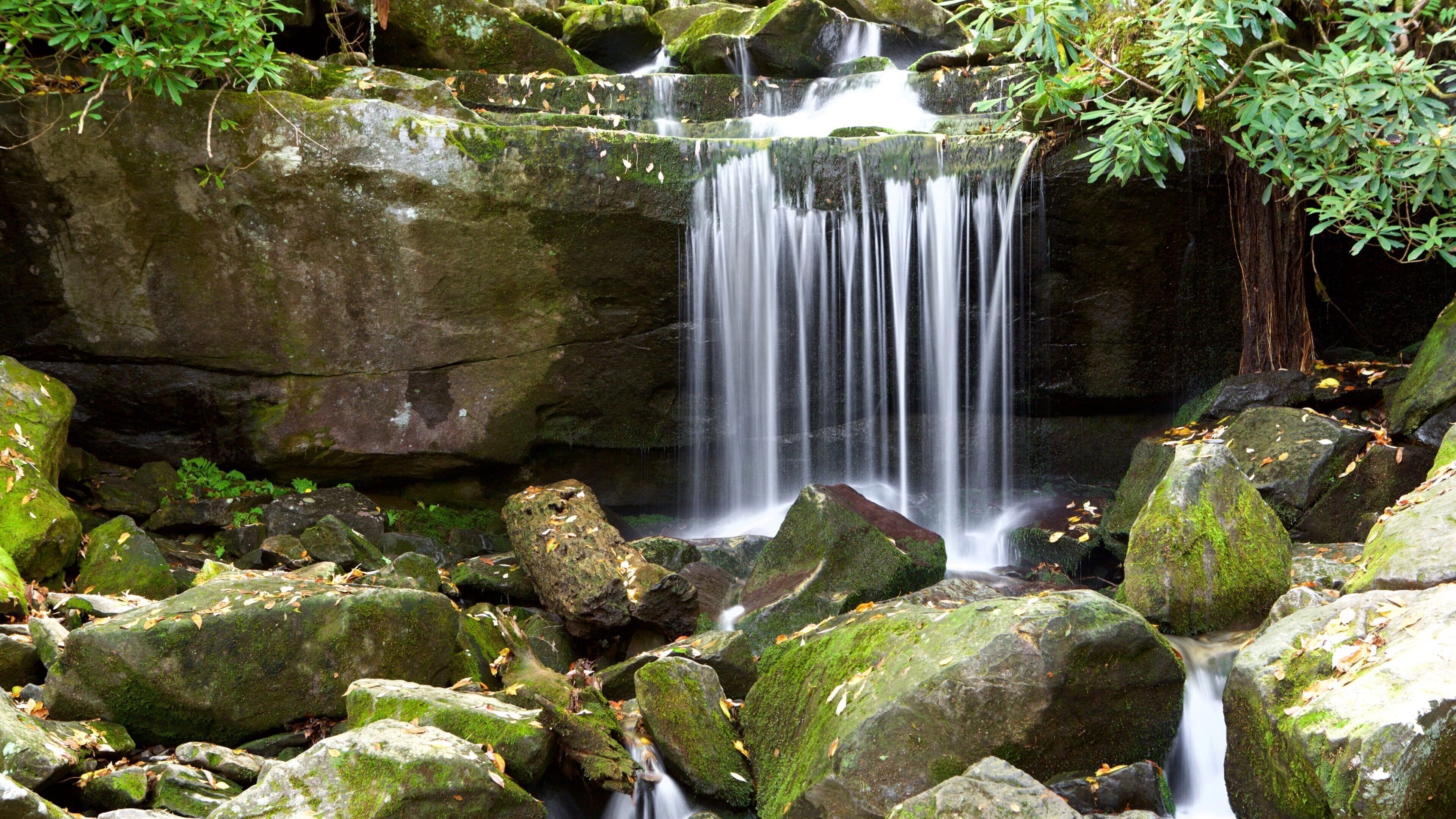 Great Smoky Mountains National Park which includes a waterfall