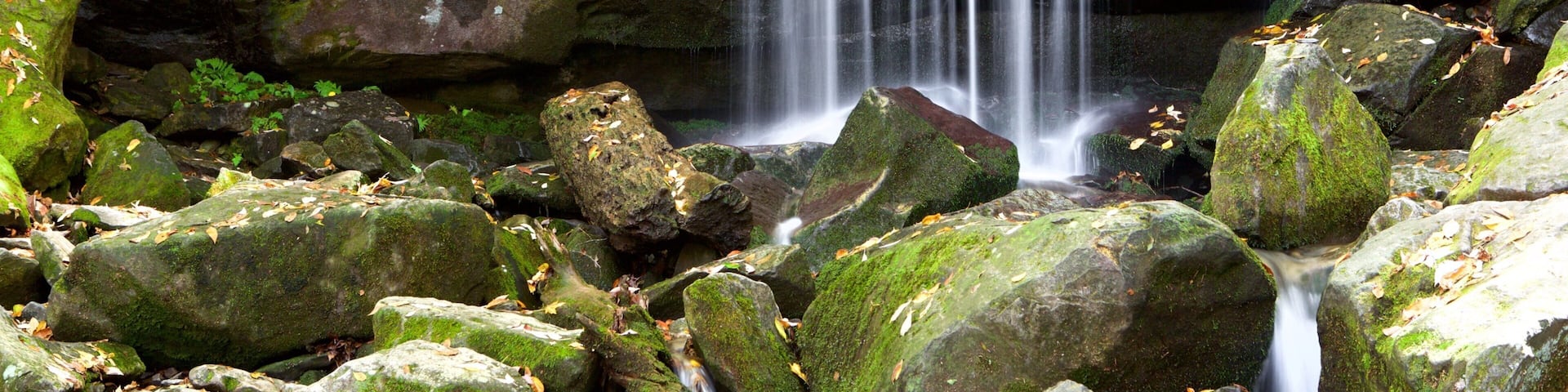 A waterfall cascading over moss-covered rocks in a forested area.