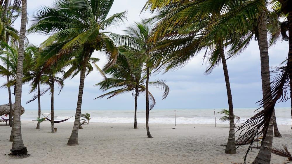 Colombia represents some of the most beautiful views of the Caribbean. The beach is surrounded by an abundance of palms trees on the edge of a lush green jungle that's filled with wild life. This eco-friendly natural reserve is the perfect place to disconnect from the world and relax #lifeatexpedia