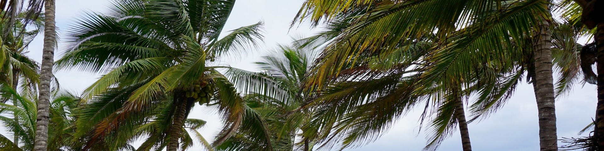 Colombia represents some of the most beautiful views of the Caribbean. The beach is surrounded by an abundance of palms trees on the edge of a lush green jungle that's filled with wild life. This eco-friendly natural reserve is the perfect place to disconnect from the world and relax #lifeatexpedia