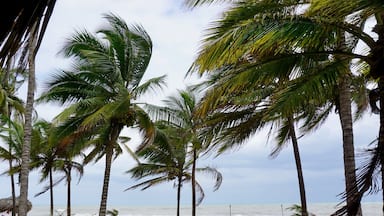 Colombia represents some of the most beautiful views of the Caribbean. The beach is surrounded by an abundance of palms trees on the edge of a lush green jungle that's filled with wild life. This eco-friendly natural reserve is the perfect place to disconnect from the world and relax #lifeatexpedia