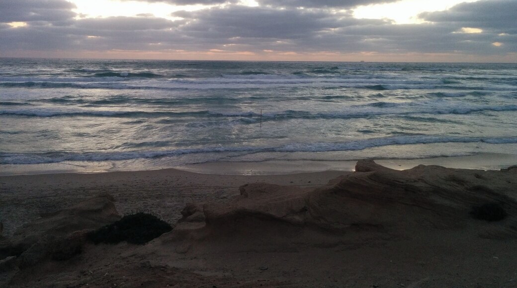 Great place to relax during the evening hours, smoke some Cuban cigar.