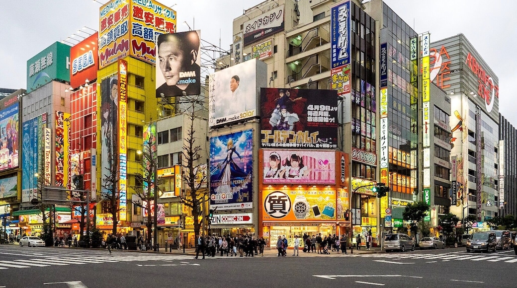 On this corner, you can get quite a few buildings that represent Akhibara. Unfortunately, the sun and clouds didn’t corporate well when I was there.