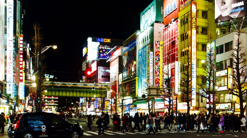 Electric City by night in Akihabara, Tokyo, Japan.