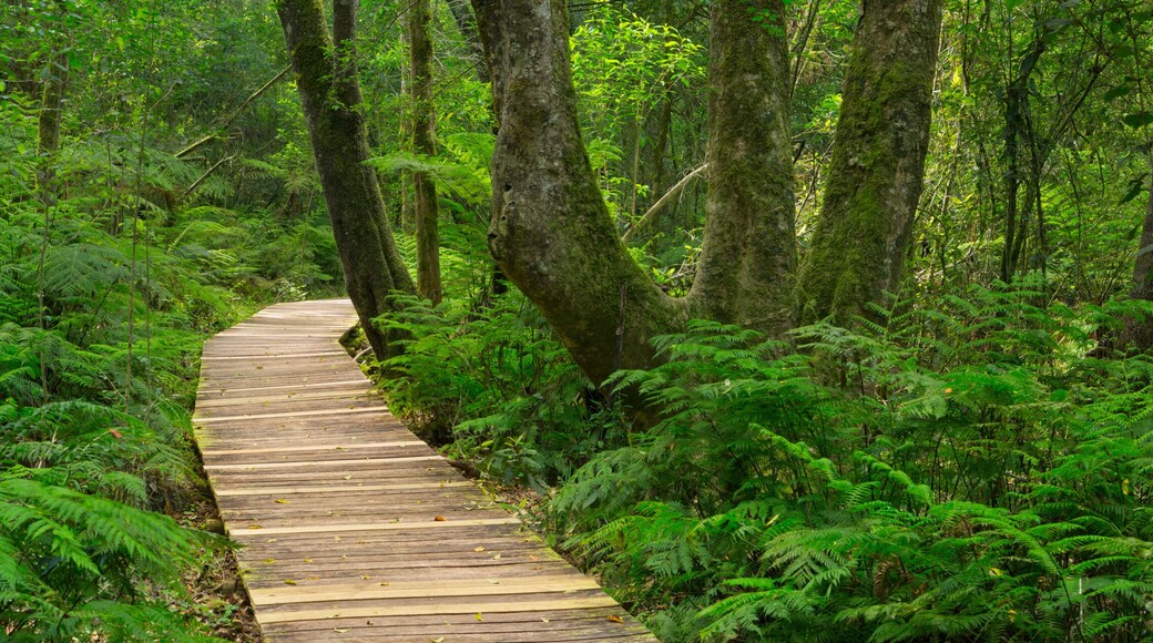 Towerkop Nature Reserve