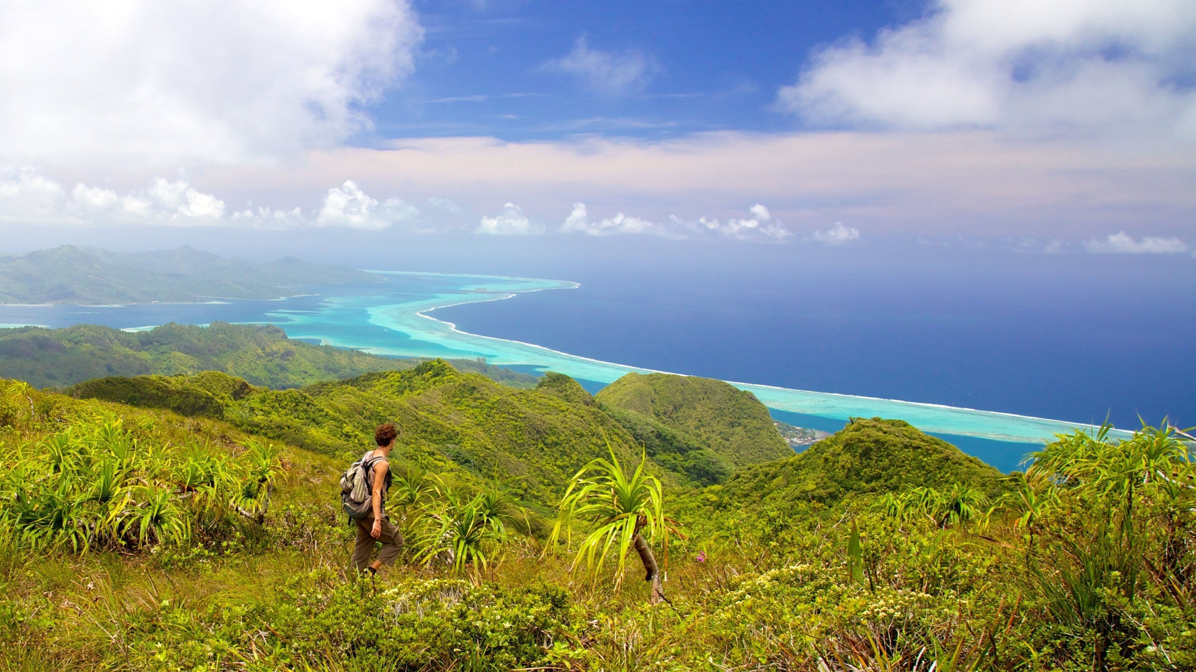 Tahiti showing hiking or walking, landscape views and tranquil scenes
