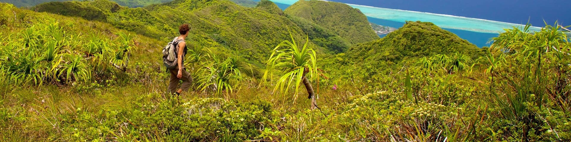 Tahiti showing hiking or walking, landscape views and tranquil scenes