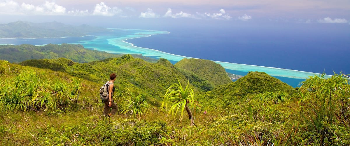 Tahiti showing landscape views, tranquil scenes and hiking or walking