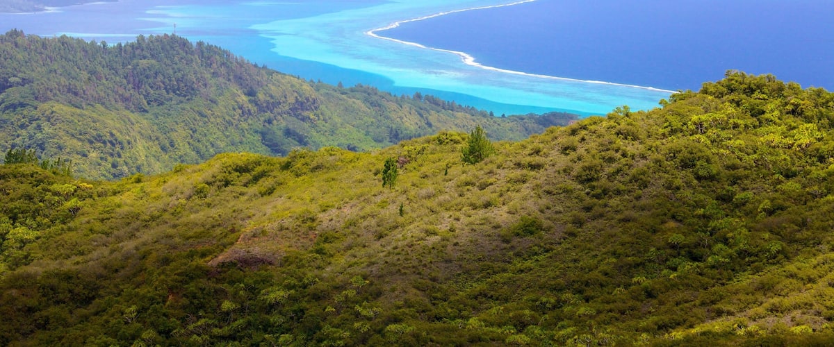 Raiatea johon kuuluu yleiset rantanäkymät, maisemat ja vuoret