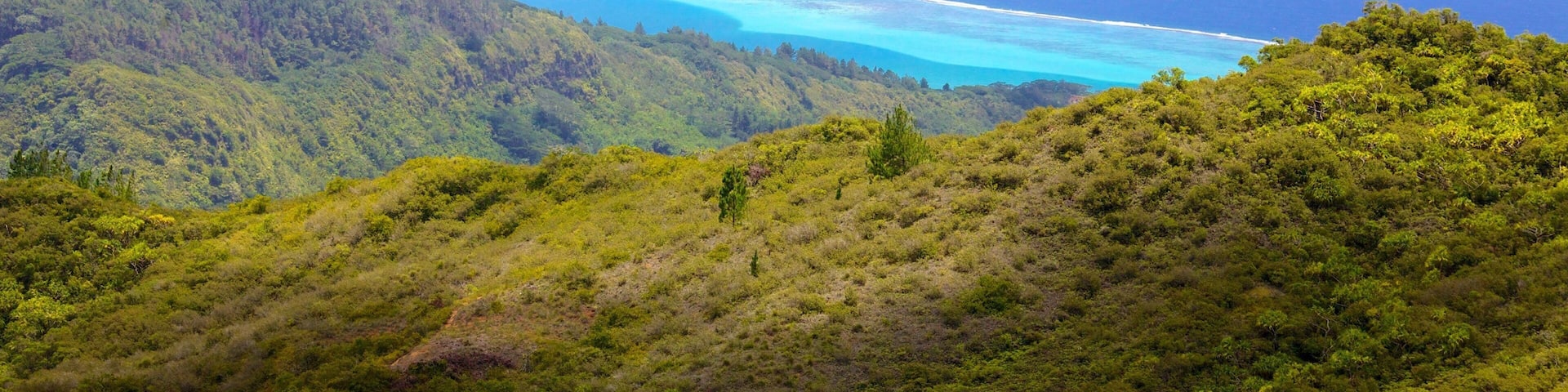 Raiatea showing general coastal views, landscape views and mountains