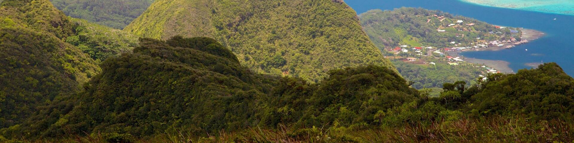 A coastal landscape with a curving bay, lush green hills, and a small settlement by the water.