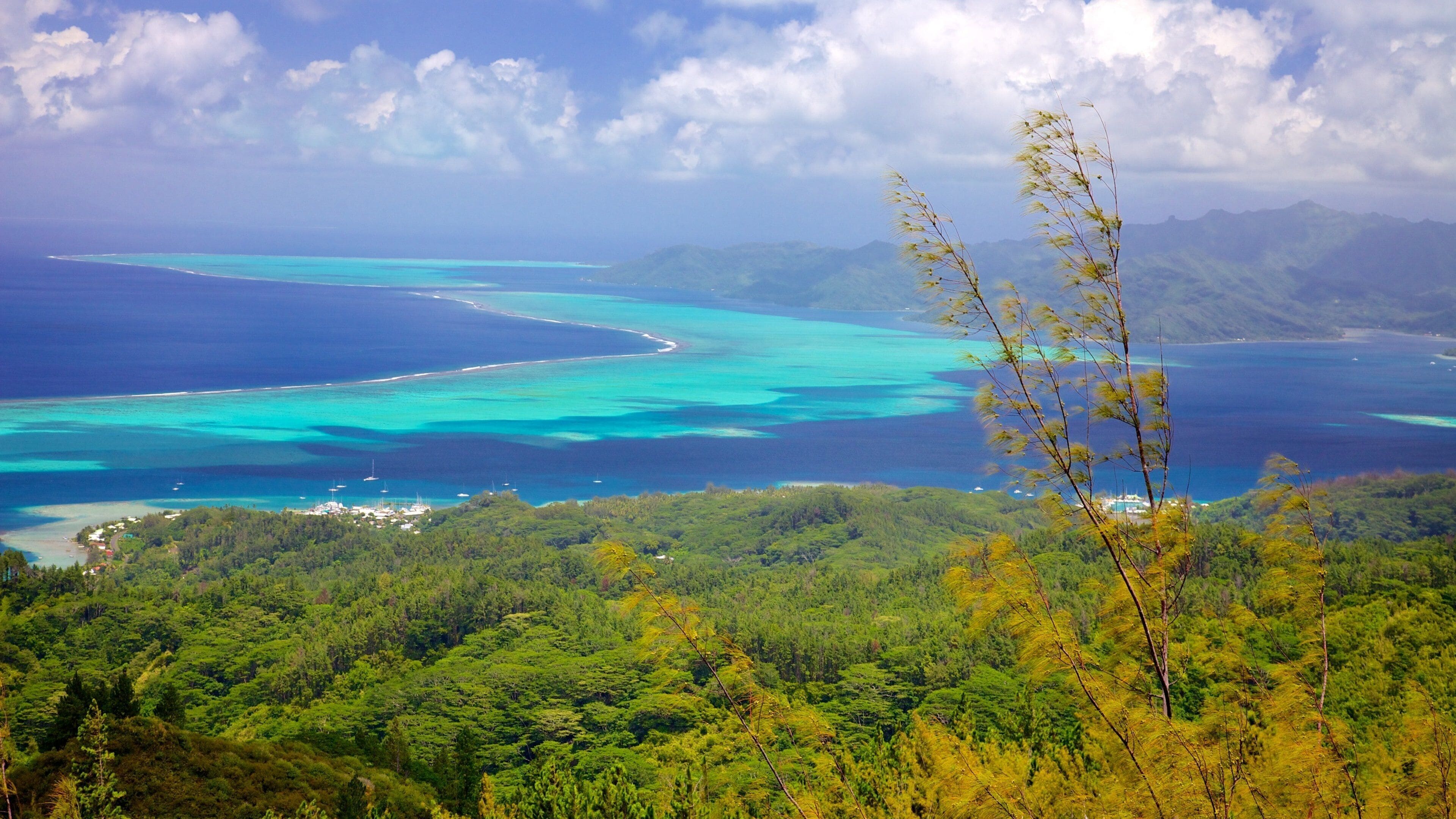 Raiatea montrant panoramas et vues littorales