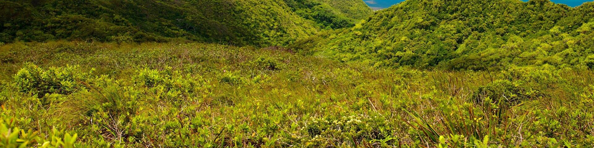 French Polynesia showing landscape views and general coastal views