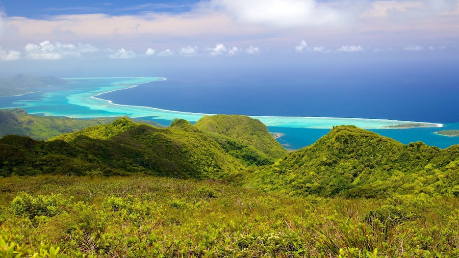 French Polynesia featuring general coastal views and landscape views