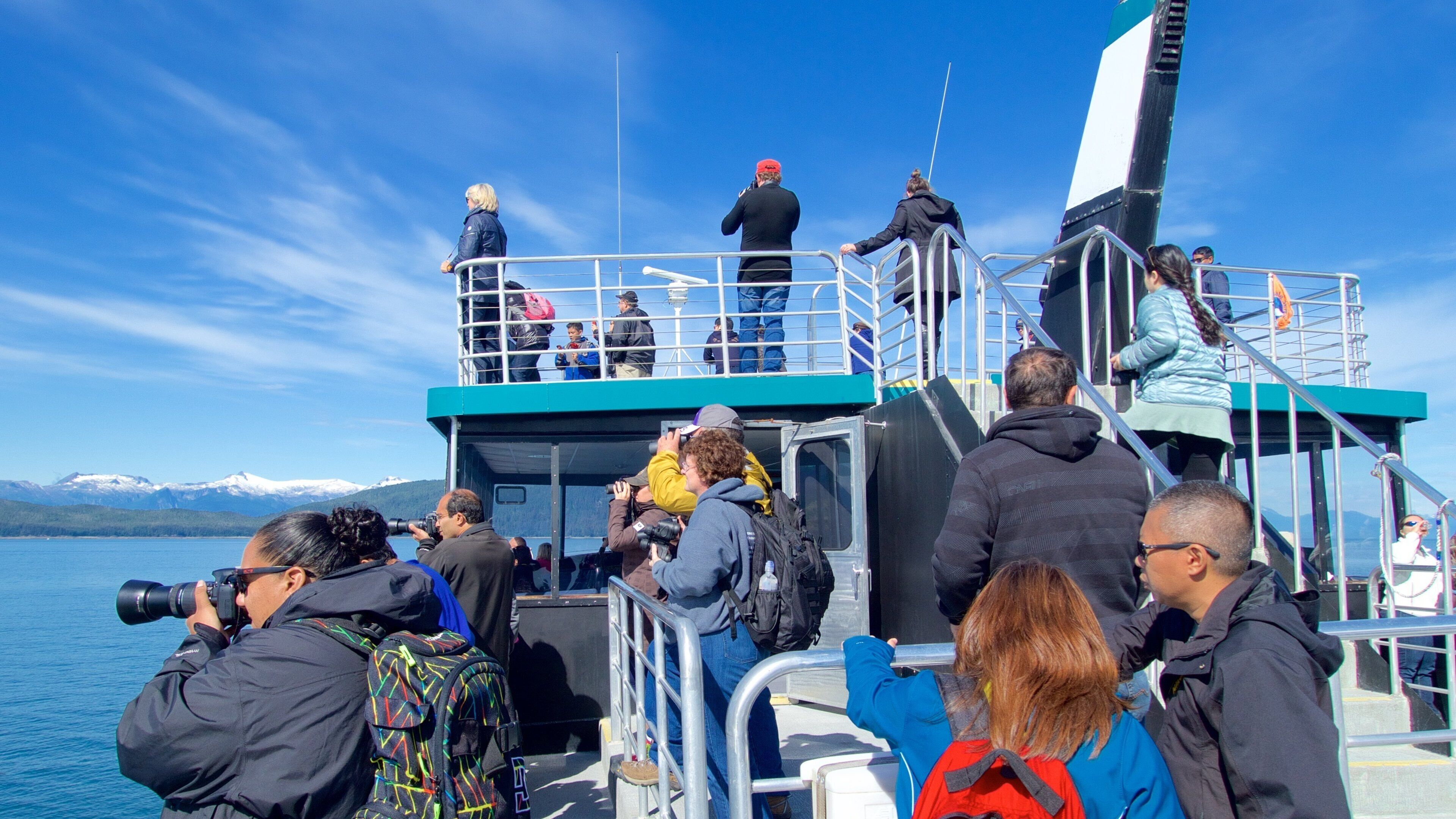 阿拉斯加 以及 大群人