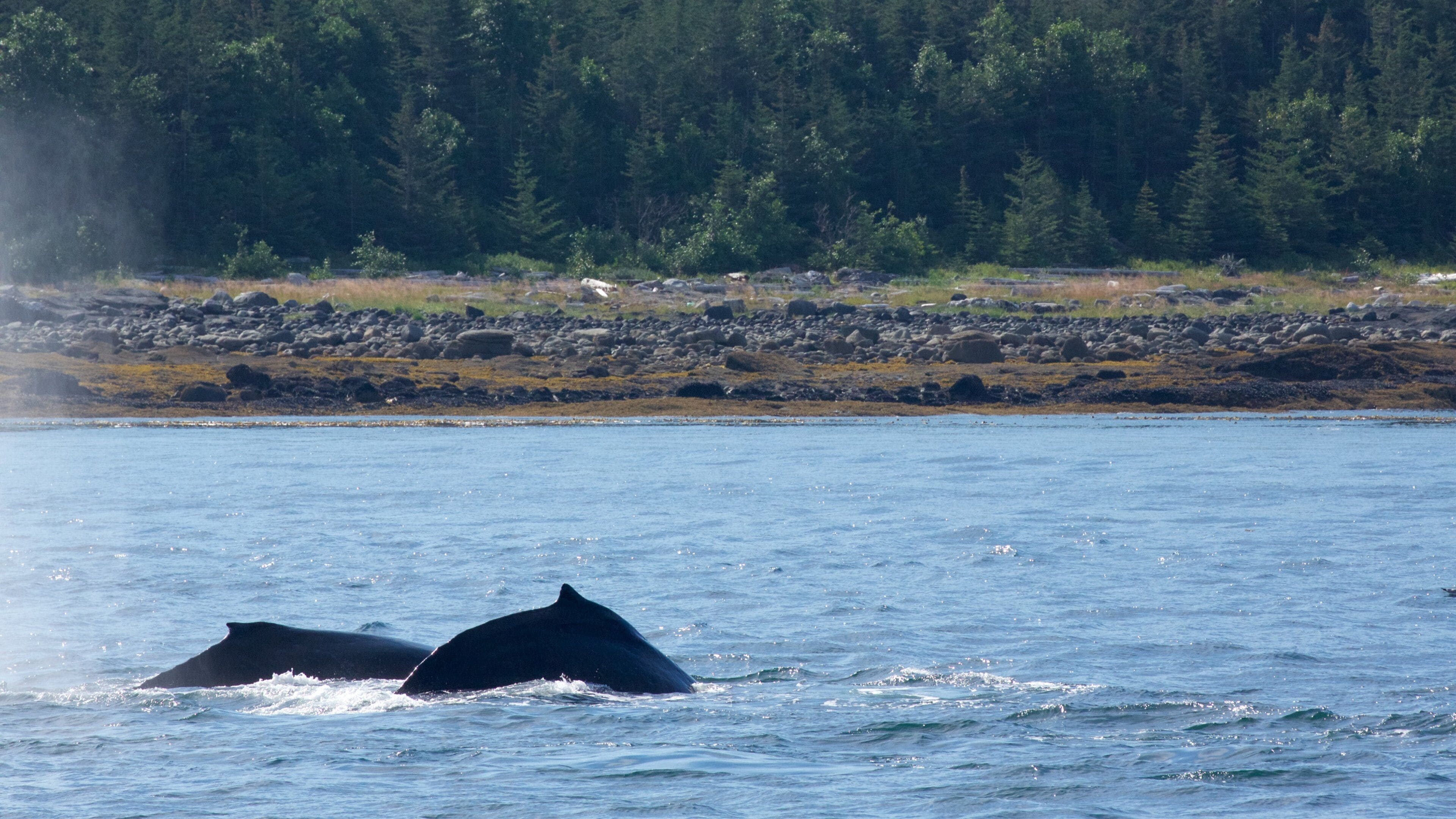 Funter Bay State Marine Park