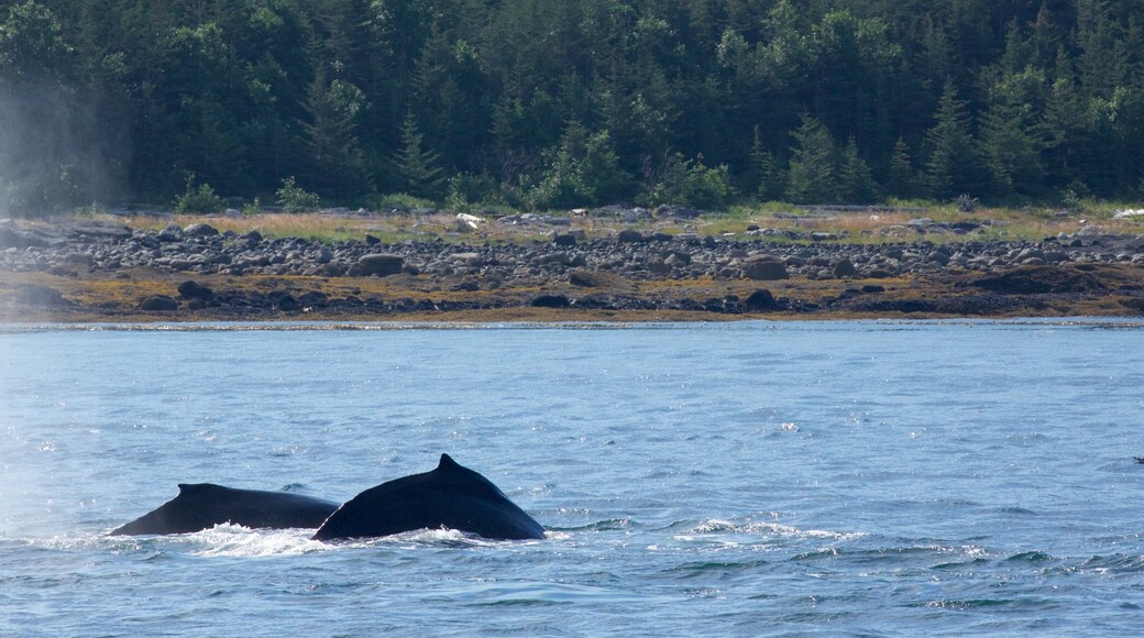 Funter Bay State Marine Park