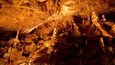 South Moravian showing caves