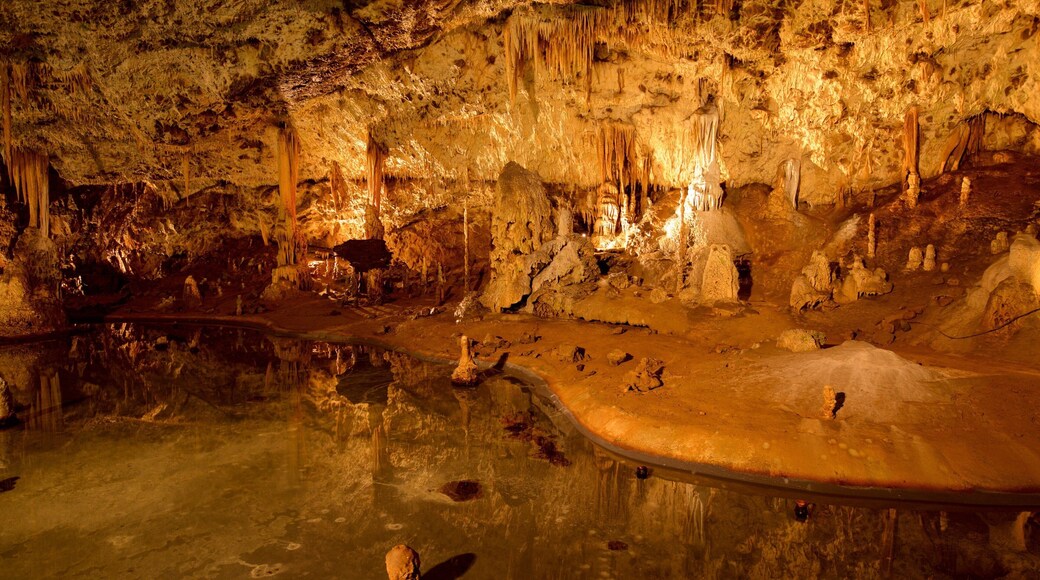 Punkva Caves featuring caves