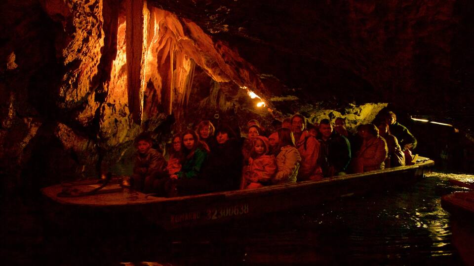 A group of people on a boat in a cave with stalactites.