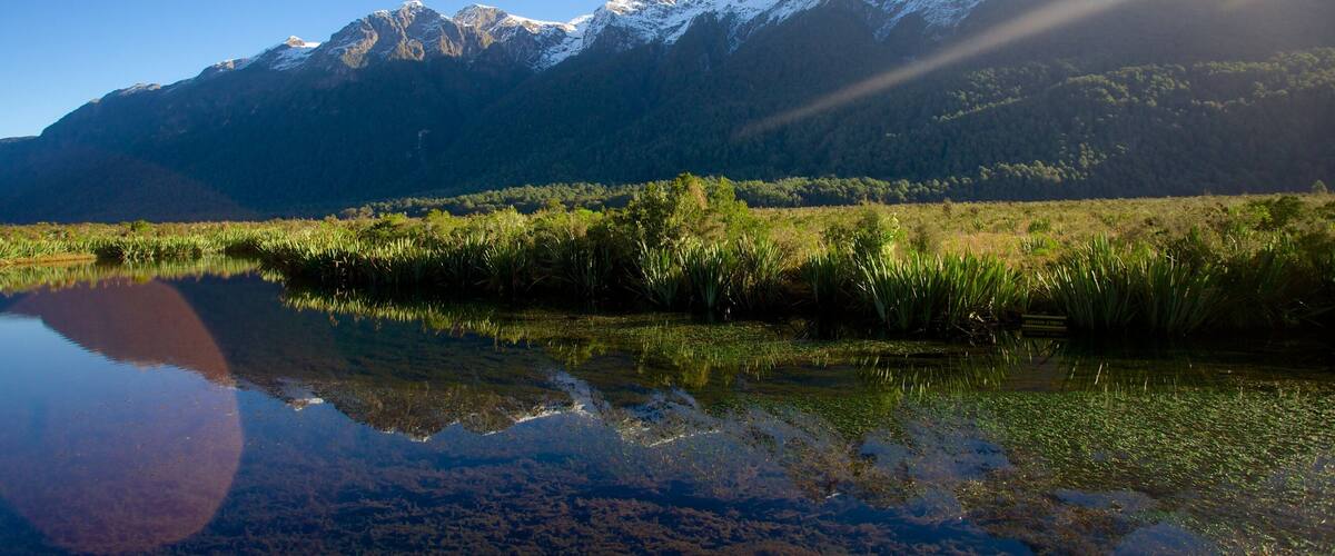Fiordlandin kansallispuisto joka esittÀÀ jÀrvi tai vesikuoppa, maisemat ja vuoret