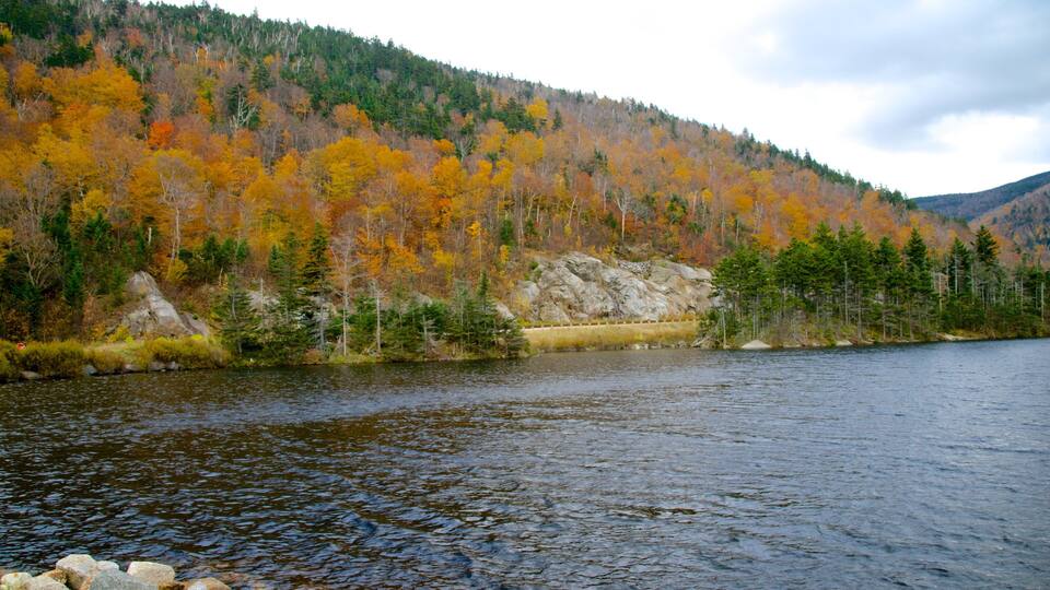 A lake surrounded by autumn-colored trees and a rocky shoreline.