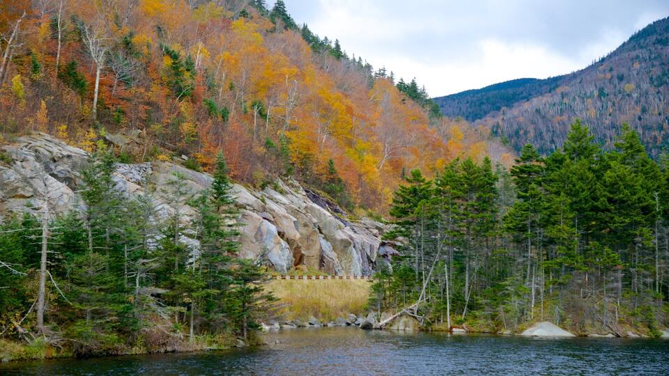 A rocky shoreline with autumn-colored trees and a mountain in the background.