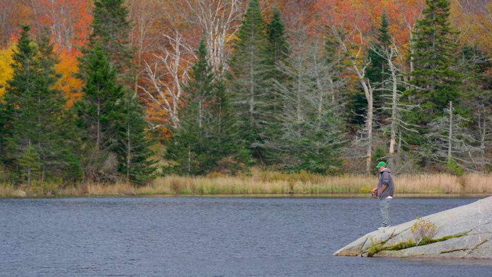 A person fishing by a lake with autumn-colored trees in the background.