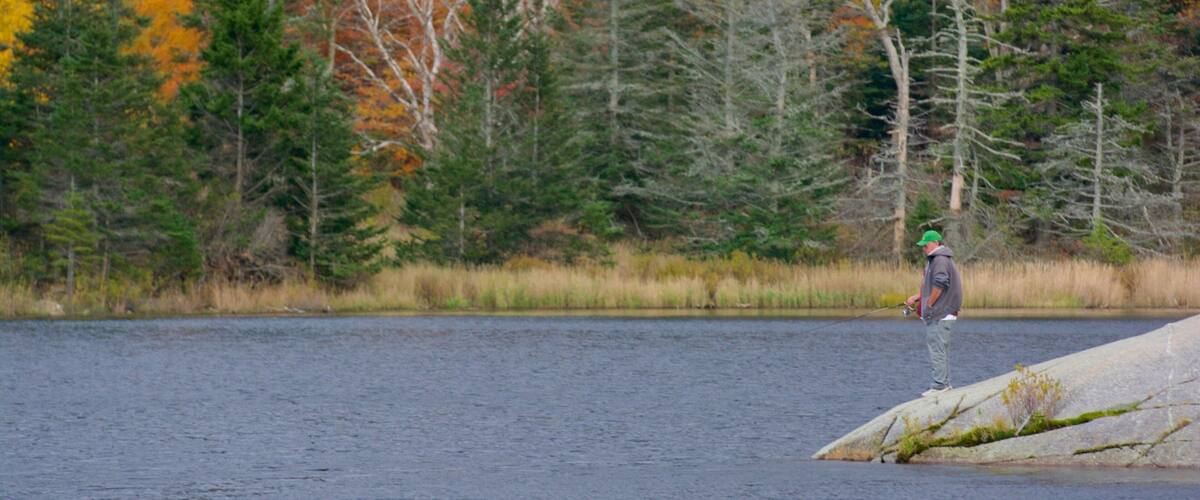A person fishing by a lake with autumn-colored trees in the background.