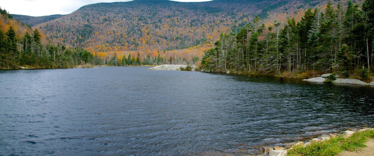 Un lago tranquilo rodeado de densos bosques y montañas.