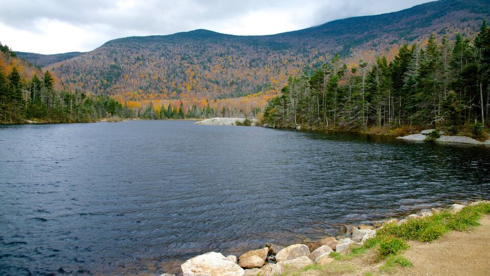 A calm lake surrounded by dense forests and mountains.