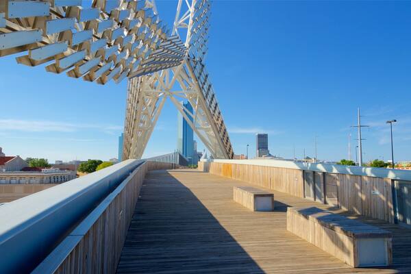 Skydance Pedestrian Bridge