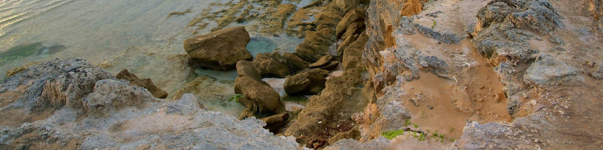 A rocky coastline with waves crashing against the shore.