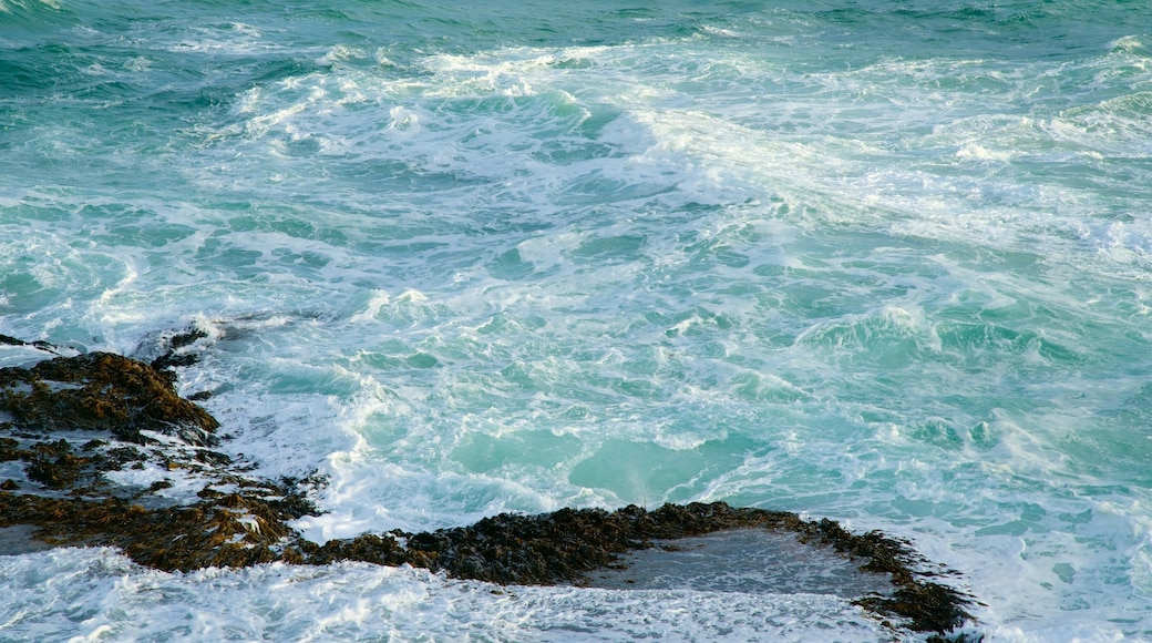Pickering Point Lookout showing rugged coastline, waves and a bay or harbor