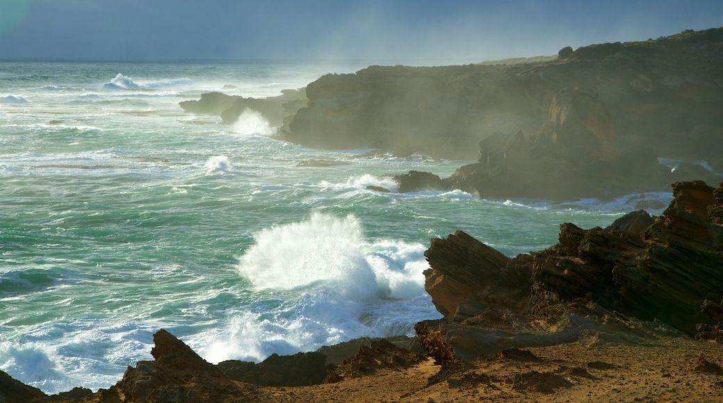 Pickering Point Lookout showing general coastal views, rocky coastline and mist or fog