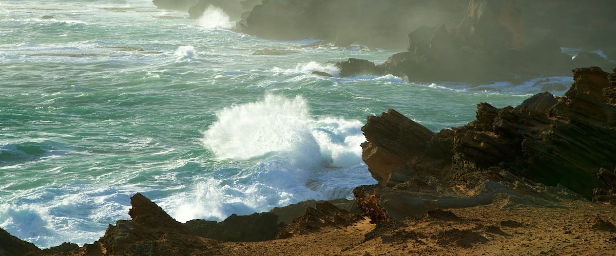 Pickering Point Lookout showing general coastal views, rocky coastline and mist or fog