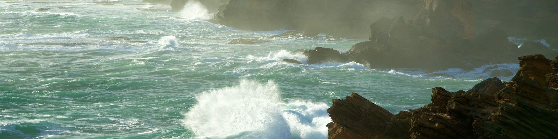 Pickering Point Lookout showing general coastal views, rocky coastline and mist or fog